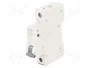 SIEMENS 5SL4106-6 Interruptor magnetotérmico 1 Polo 6A 10kA