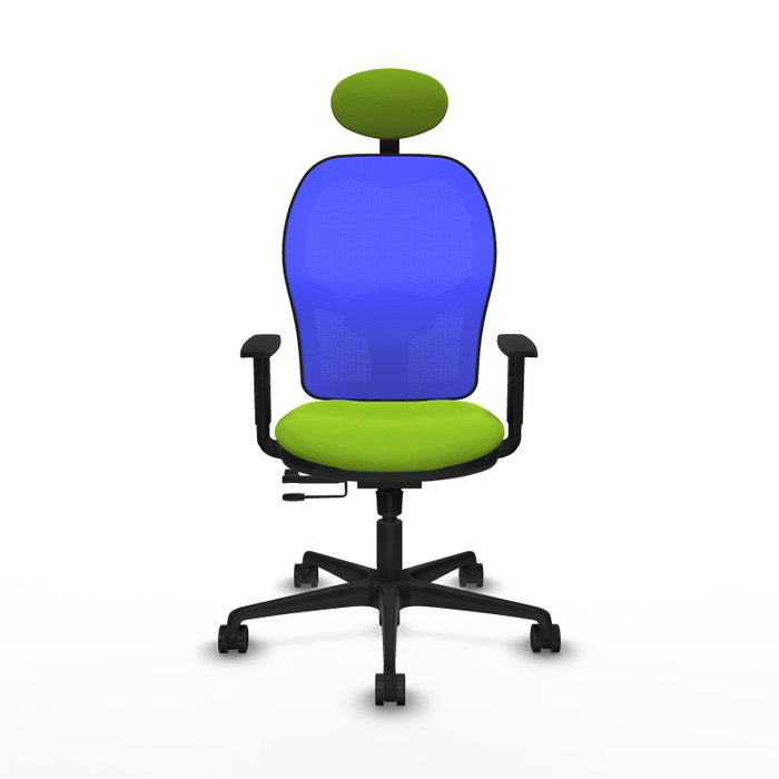 PIQUERAS Y CRESPO Silla de oficina Jorquera Sincro/Traslack Pistacho y Azul PIQUERAS Y CRESPO Silla de oficina Jorquera Sincro/Traslack Pistacho y Azul