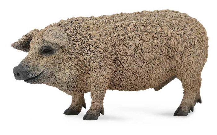 COLLECTA Cerdo Mangalica - Escala M COLLECTA Cerdo Mangalica - Escala M