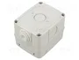 GEWISS 27 COMBI Carcasa para Aparatos Modulares Gris IP55
