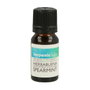 Terpenic Aceite Esencial de Hierbabuena BIO 10ml