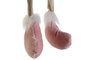 DKD Home Decor Figura Poliéster RENO Surtido de 2