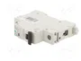 Promfactor Baltic Interruptor magnetotérmico ECO 2A 1 Polo Curva B