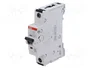 ABB S300P Interruptor magnetotérmico 10A 1P Característica B