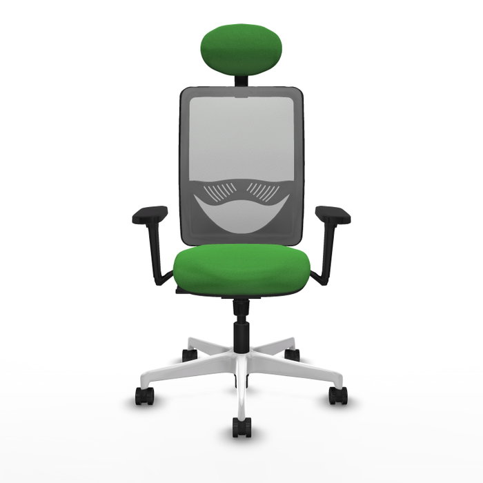 PIQUERAS Y CRESPO Silla de oficina Zulema con Mecanismo Sincro, Verde y Gris PIQUERAS Y CRESPO Silla de oficina Zulema con Mecanismo Sincro, Verde y Gris