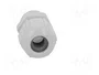 Lapp SKINTOP 53111510 Prensaestopas de Poliamida Gris M16x1.5, Pack de 100 unidades