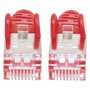 Intellinet Patchkabel Cat7 de 0,25m Rojo con conectores RJ-45