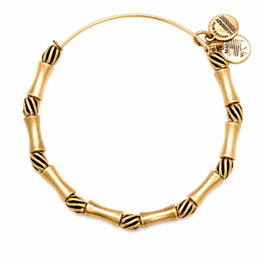 Alex And Ani Pulsera Constelación Dorada A13EB15RG