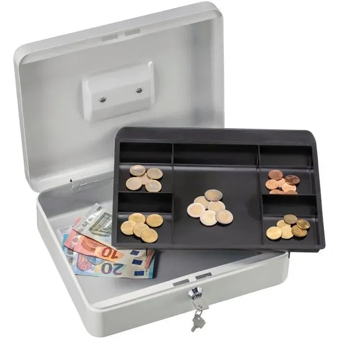 Burg Wachter Money 5030 Caja para Monedas, Acero Gris Claro, Apertura con Llave