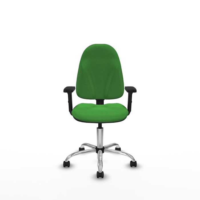 PIQUERAS Y CRESPO Silla de oficina Algarra Verde con Brazos 2D PIQUERAS Y CRESPO Silla de oficina Algarra Verde con Brazos 2D