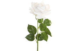 DKD Home Decor Flor Blanco 12 Unidades 15 x 66 x 15 cm
