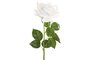 DKD Home Decor Flor Blanco 12 Unidades 15 x 66 x 15 cm