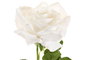 DKD Home Decor Flor Blanco 12 Unidades 15 x 66 x 15 cm