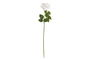 DKD Home Decor Flor Blanco 12 Unidades 15 x 66 x 15 cm