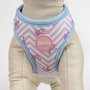 Cerdá Arnés para Perros XS/S T2XS:XS/S Color Rosa