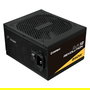 Enermax Revolution D.F.12 ETV850G Fuente de Alimentación 850W 80+ Gold ATX 3.1 Totalmente Modular