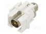GOOBAY Conector RF Keystone F Tomacorriente Concéntrico Blanco