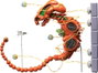 FREEing R-Type Figura Figma Dobkeratops 20 cm