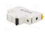 SCHNEIDER ELECTRIC Interruptor magnetotérmico ACTI9 MCB K60N 6A 1P 6kA