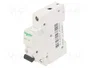 SCHNEIDER ELECTRIC Interruptor magnetotérmico ACTI9 MCB K60N 6A 1P 6kA