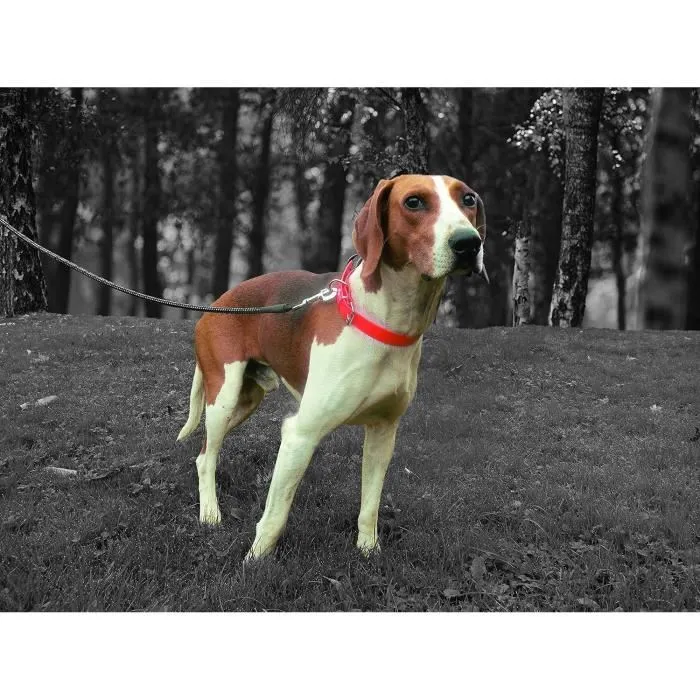 Aime Collar de caza YAGO Naranja Fluo