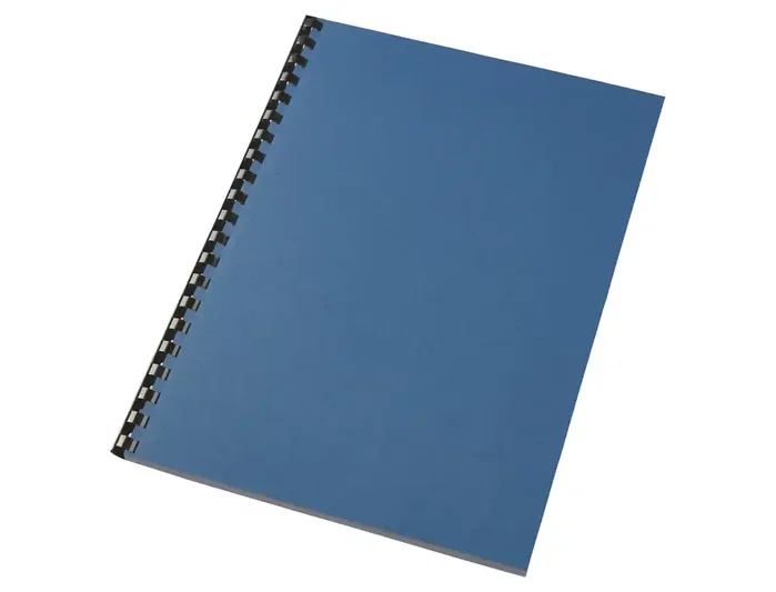 Esselte Dossier uñero PVC 180 micras DIN A4 Transparente 50% reciclado - Pack 100 uds