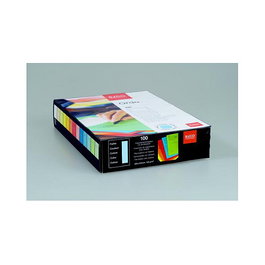 ELCO Fundas perforadas Ordo classico DIN A4 colores variados 120 g/qm