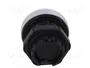 LOVATO ELECTRIC Interruptor de presión Platinum verde 22mm