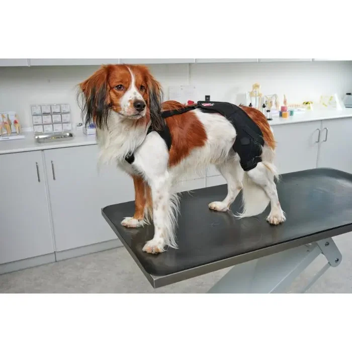 Kruuse Protector De Rodilla Rehab Pro Derecho Talla XS Kruuse Protector De Rodilla Rehab Pro Derecho Talla XS