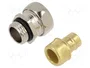 LAPP Conector final recto
