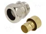 LAPP Conector final recto