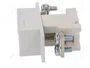 ETI POLAM Base de fusible D02 para raíl DIN 63A 400VAC 1 polo