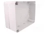 ELEKTRO-PLAST NASIELSK Carcasa Industrial Universal Gris