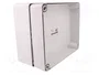 ELEKTRO-PLAST NASIELSK Carcasa Industrial Universal Gris