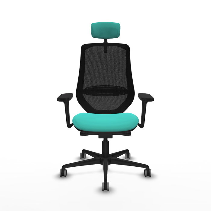 PIQUERAS Y CRESPO Silla de oficina Mardos con mecanismo Sincro/Traslack, Turquesa y Negro PIQUERAS Y CRESPO Silla de oficina Mardos con mecanismo Sincro/Traslack, Turquesa y Negro