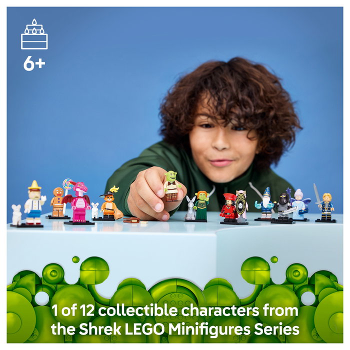 LEGO 71053 Minifigures