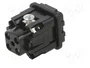 ILME CKM03N Conector HDC Macho de 3 Pines