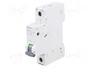 SIEMENS 5SL6104-7 Interruptor magnetotérmico 4A 1 Polo Curva C