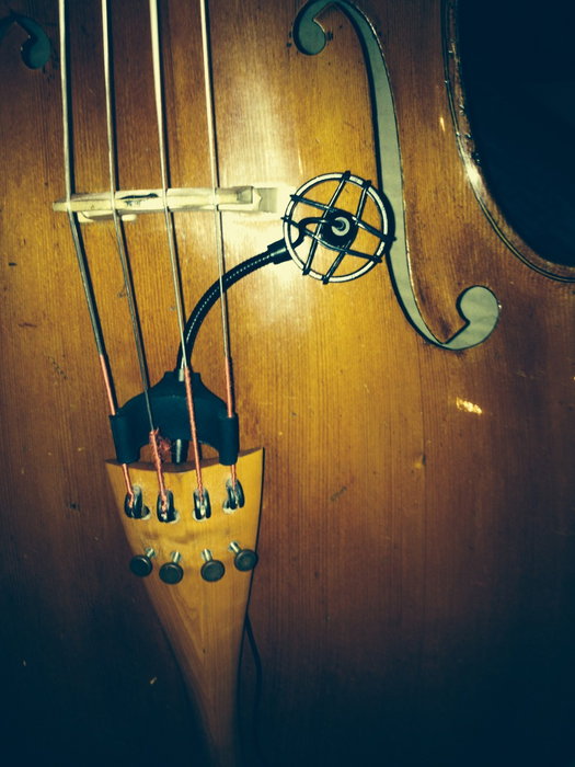 Micrófono para Cello Prodipe Cl-21