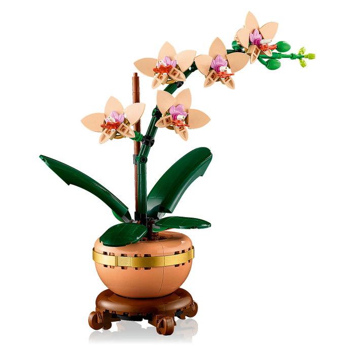 LEGO Botanicals Miniorquídea 10343