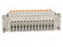 ILME CDSHF42 Conector HDC Hembra de 42 Pines