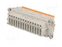 ILME CDSHF42 Conector HDC Hembra de 42 Pines