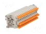 ILME CDSHF42 Conector HDC Hembra de 42 Pines