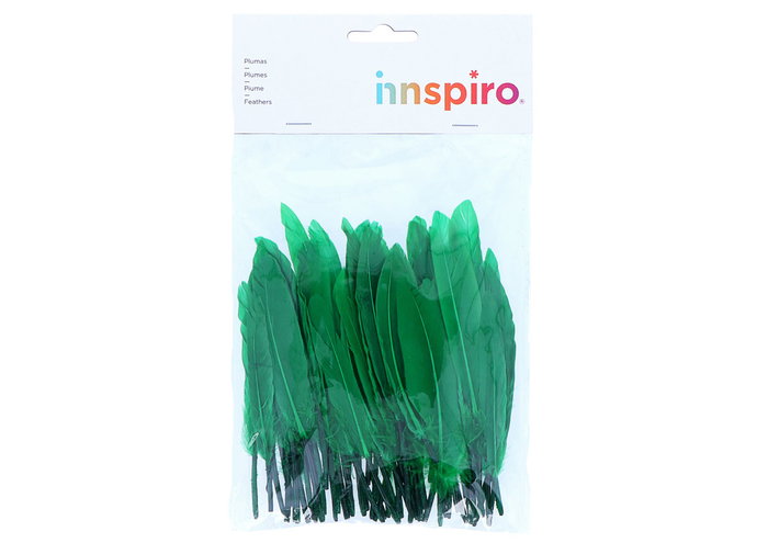 Innspiro Plumas Indio Verde 60u