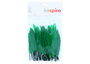 Innspiro Plumas Indio Verde 60u