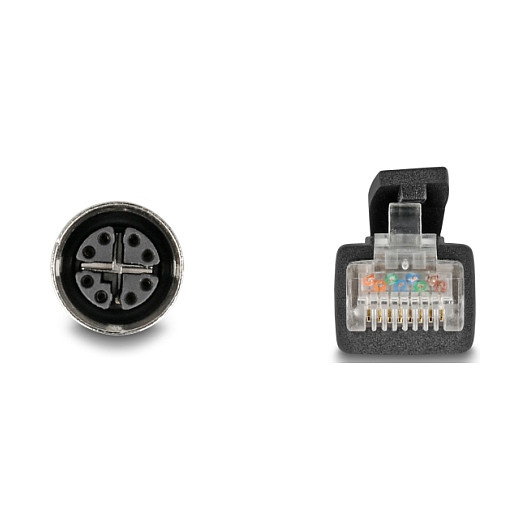 DeLOCK Cable de red M12 X-codificado 8 pin hembra a RJ45 macho Cat.5e S/FTP 2 m Negro