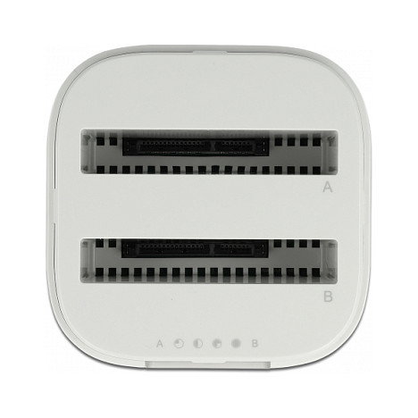 DeLOCK Estación de acoplamiento USB Type-C 3.2 para 2 x 2.5Pol SATA HDD/SSD con función de clonación Blanco