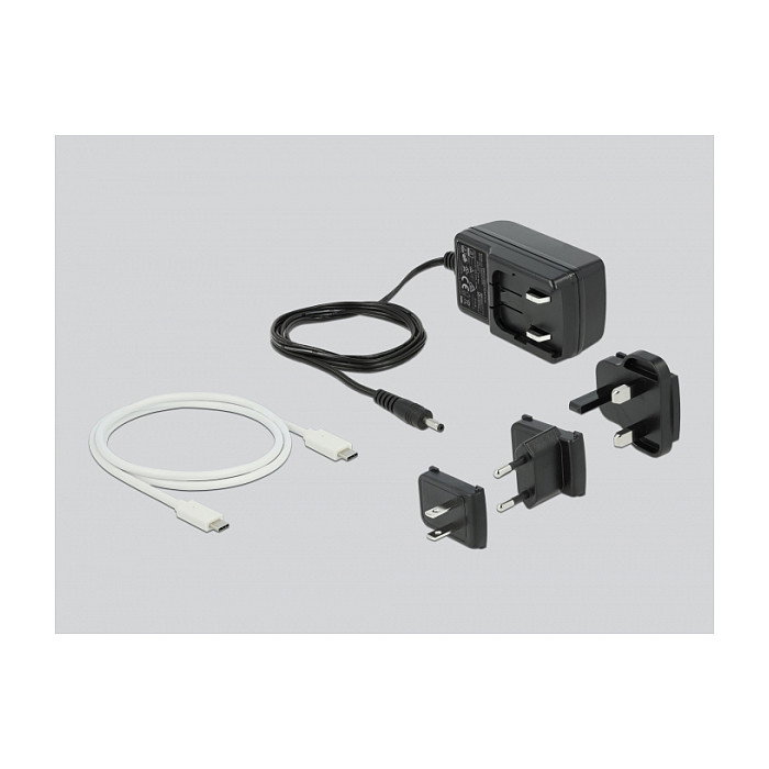 DeLOCK Estación de acoplamiento USB Type-C 3.2 para 2 x 2.5Pol SATA HDD/SSD con función de clonación Blanco