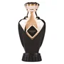 Paris Corner Prodigy Noir Agua de perfume Unisex 100 ml