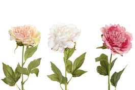 DKD Home Decor Flor Peonia Rosa Blanco Crema 15 x 58 x 15 cm Tacto Real Seda PE (12 Unidades)